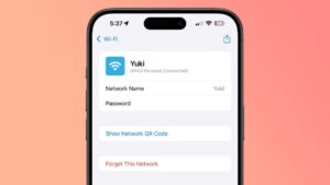 ios 18 passwords app wifi