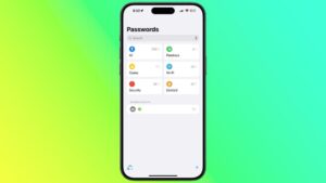 ios 18 passwords app  