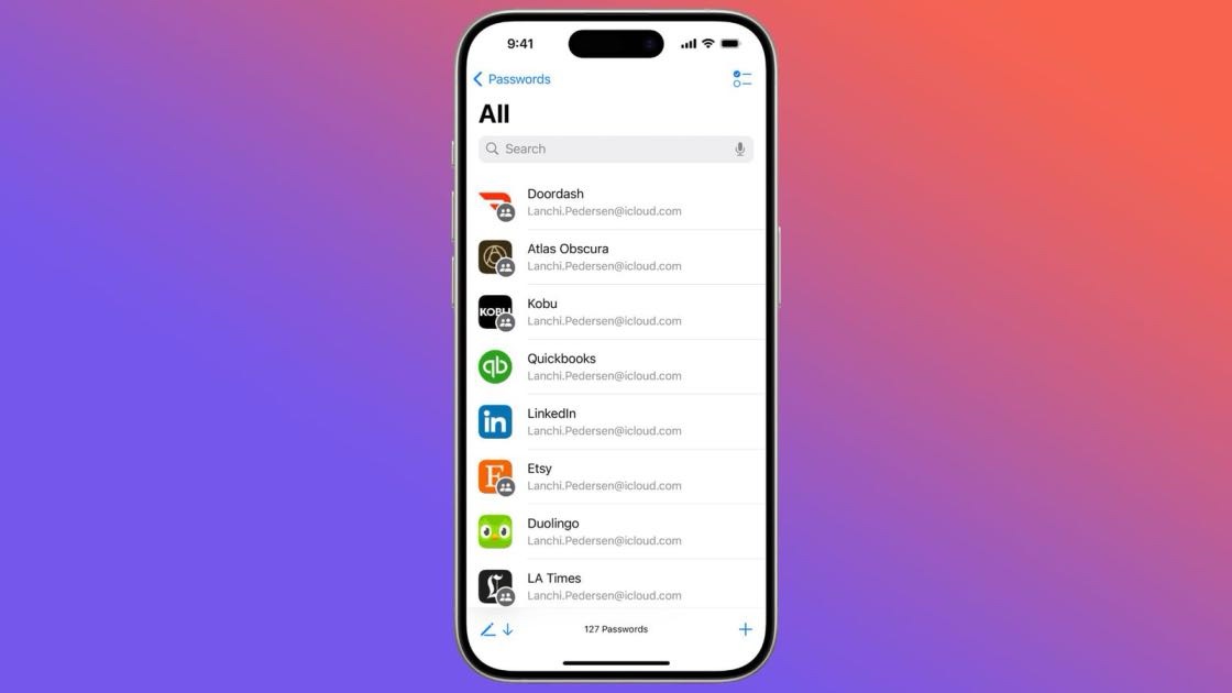 iOS 18 passwords app